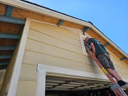 Best Custom Siding Design  in Fallon, NV